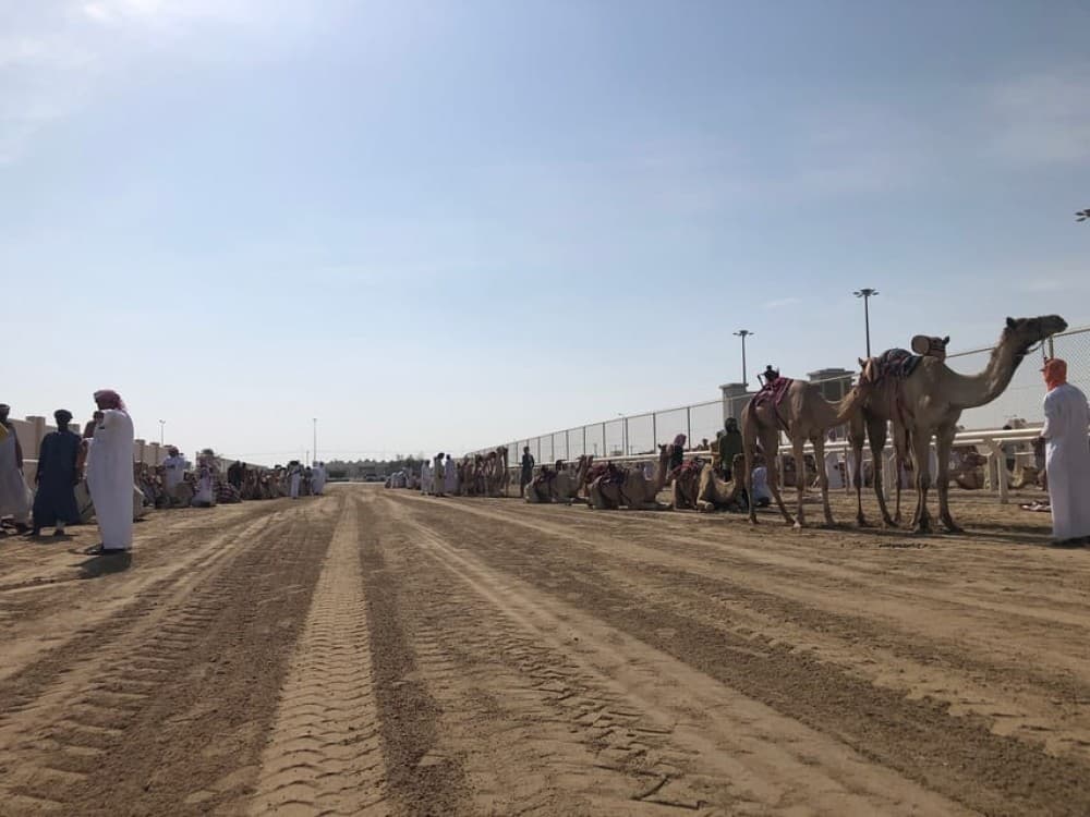Doha: Camel Race Track/Mushroom Hill/Richard Serra Sculpture | ®ExcursionMania