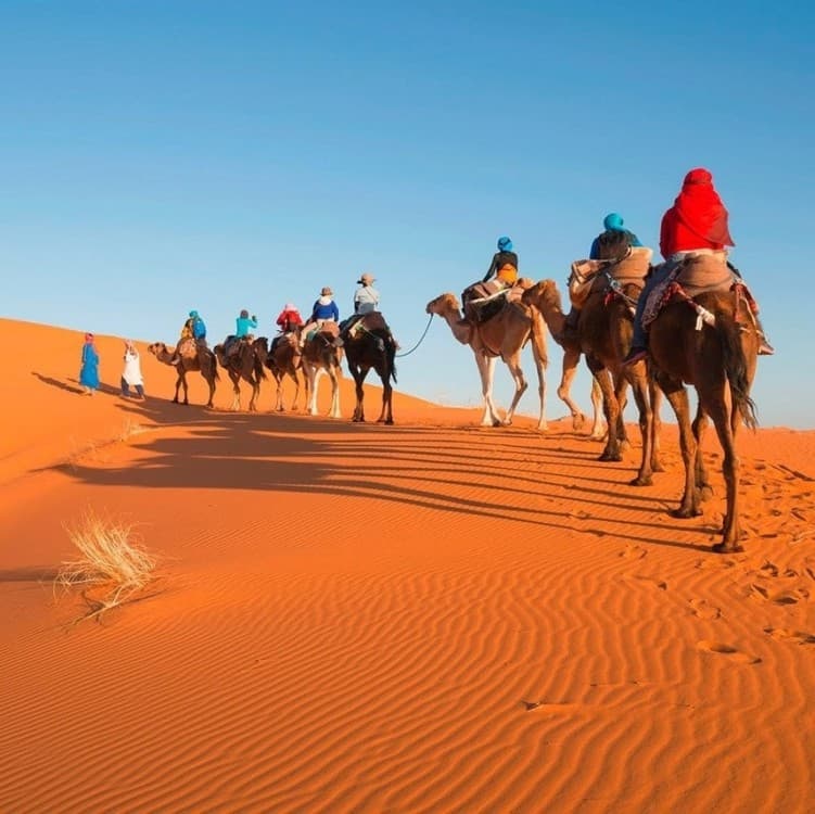 Marrakech to Merzouga: 3-Day Dades Valley & Sahara Desert Adventure | ®ExcursionMania