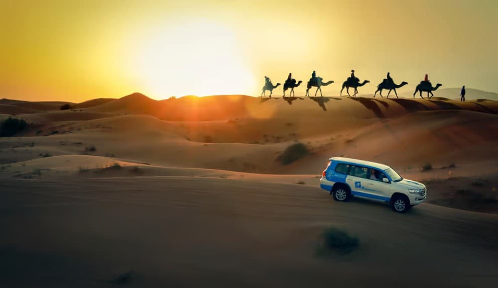 Desert