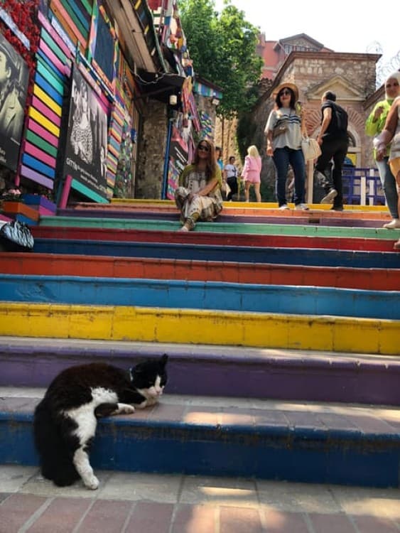 Istanbul: Fener Balat Old Greek and Jewish Quarter Tour | ®ExcursionMania