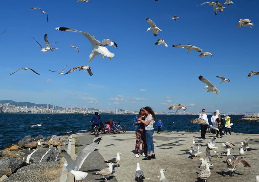 Istanbul: Round-Trip Ferry Tickets to the Princes' Islands | ®ExcursionMania