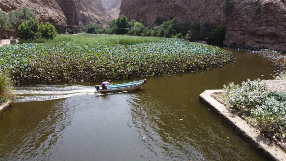 From Muscat: Wadi Shab  Bimmah Sinkhole Full-Day Tour | ®ExcursionMania