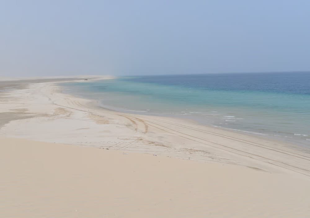 Doha: Desert Tour Camels Sand Surfing  Falcon Experience | ®ExcursionMania