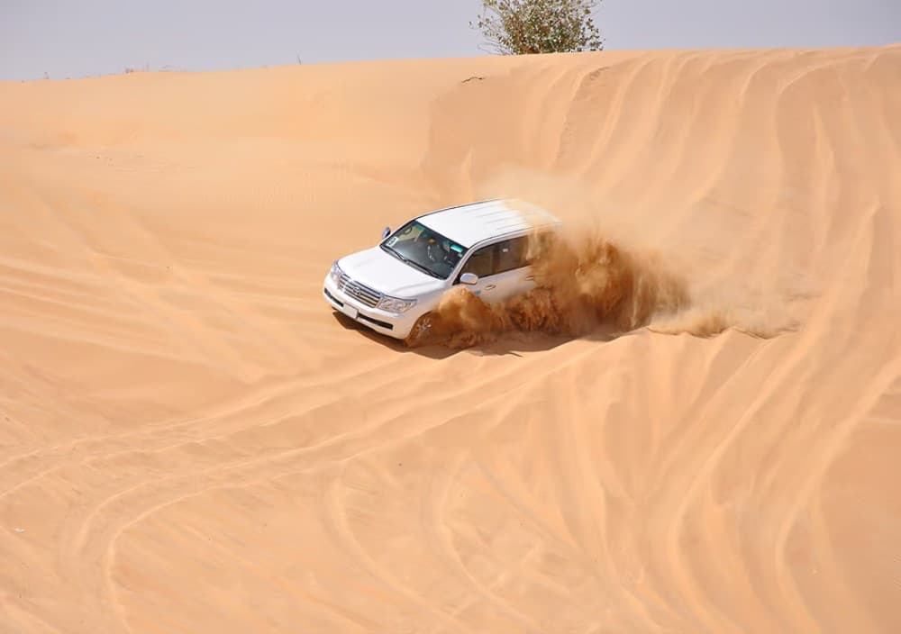 Doha: Desert Tour Camels Sand Surfing  Falcon Experience | ®ExcursionMania