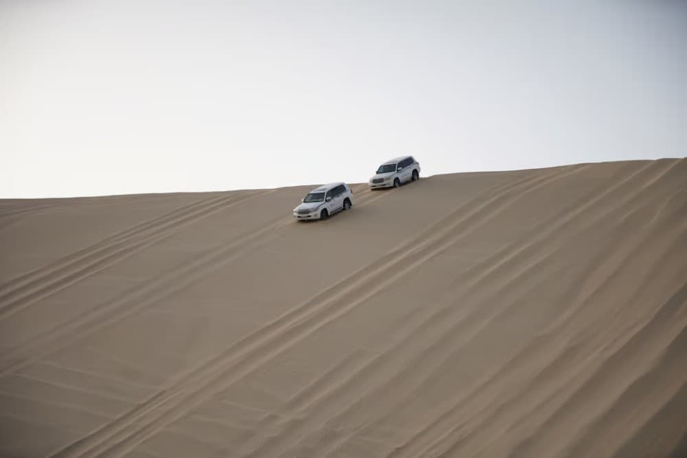 Doha: Desert Tour Camels Sand Surfing  Falcon Experience | ®ExcursionMania