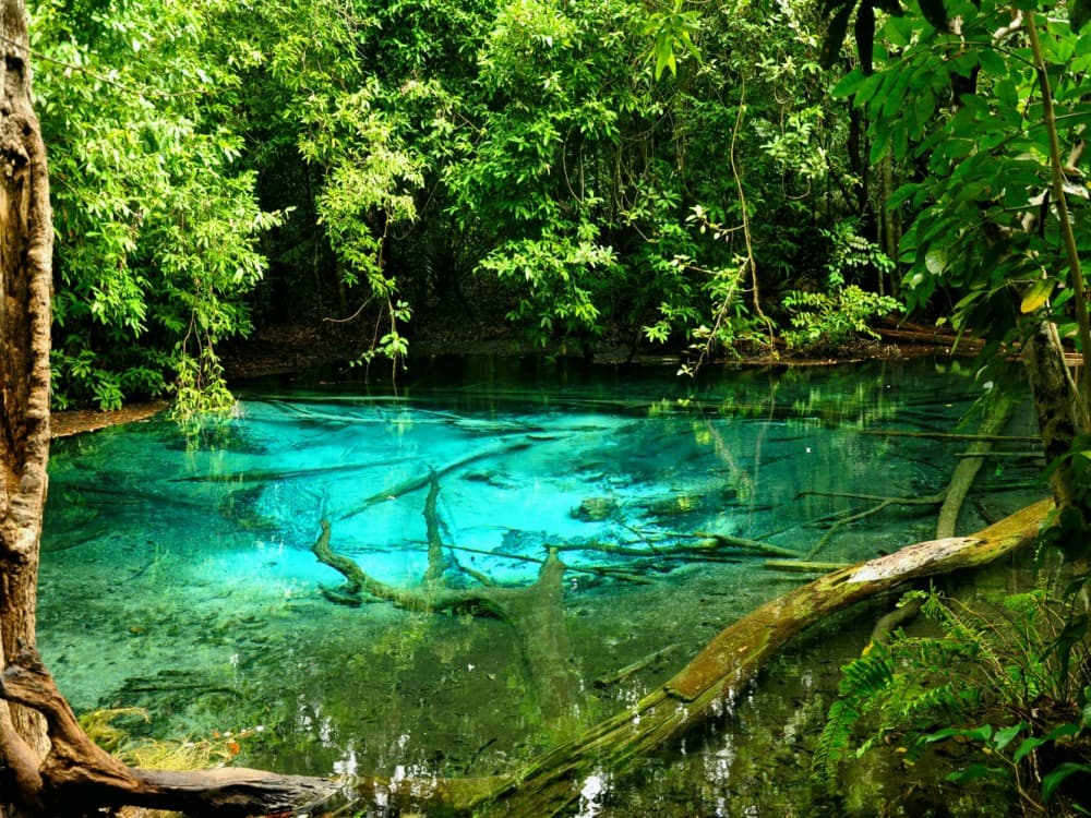 Emerald Pool