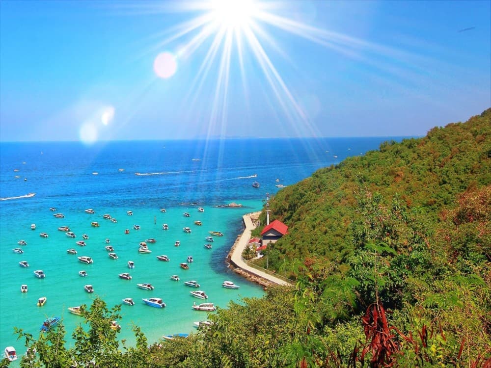 Coral Island