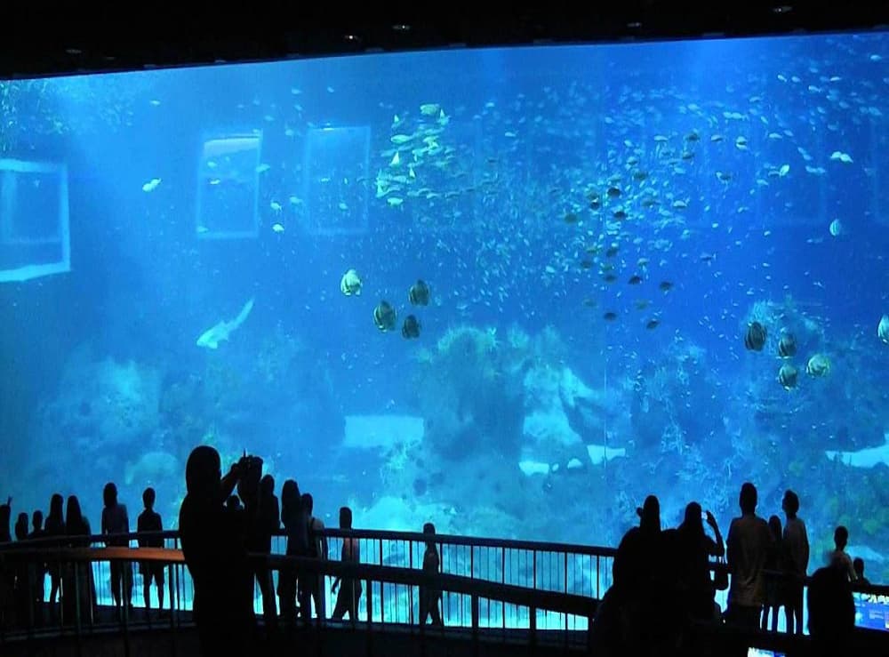 Marine World Aquarium