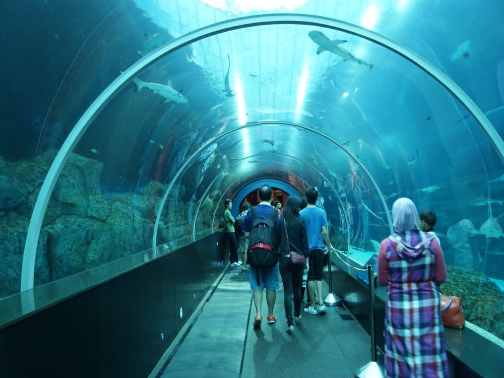 Marine World Aquarium