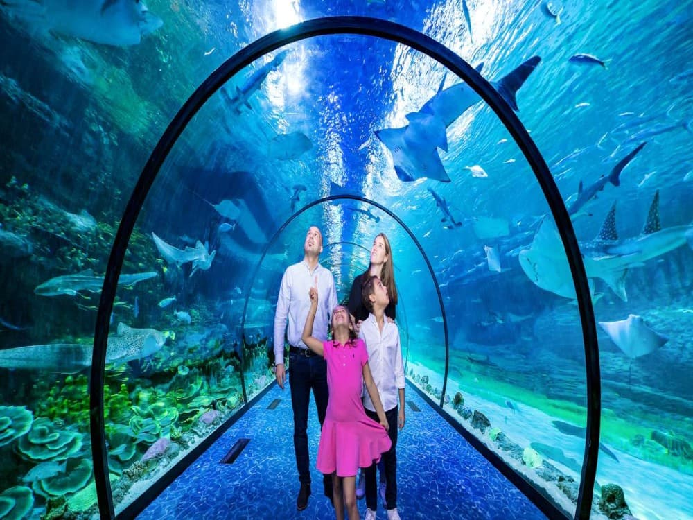 The National Aquarium Abu Dhabi