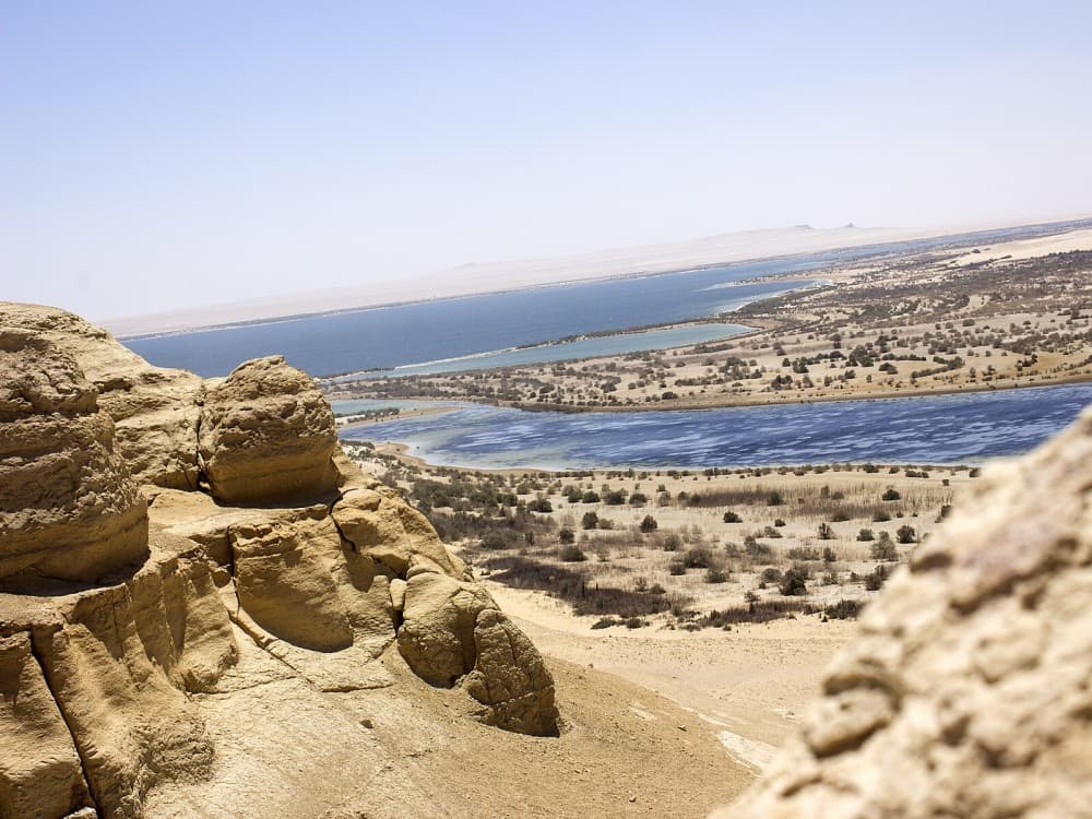 Al-Fayoum