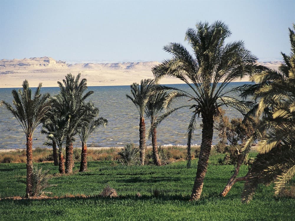 Al-Fayoum