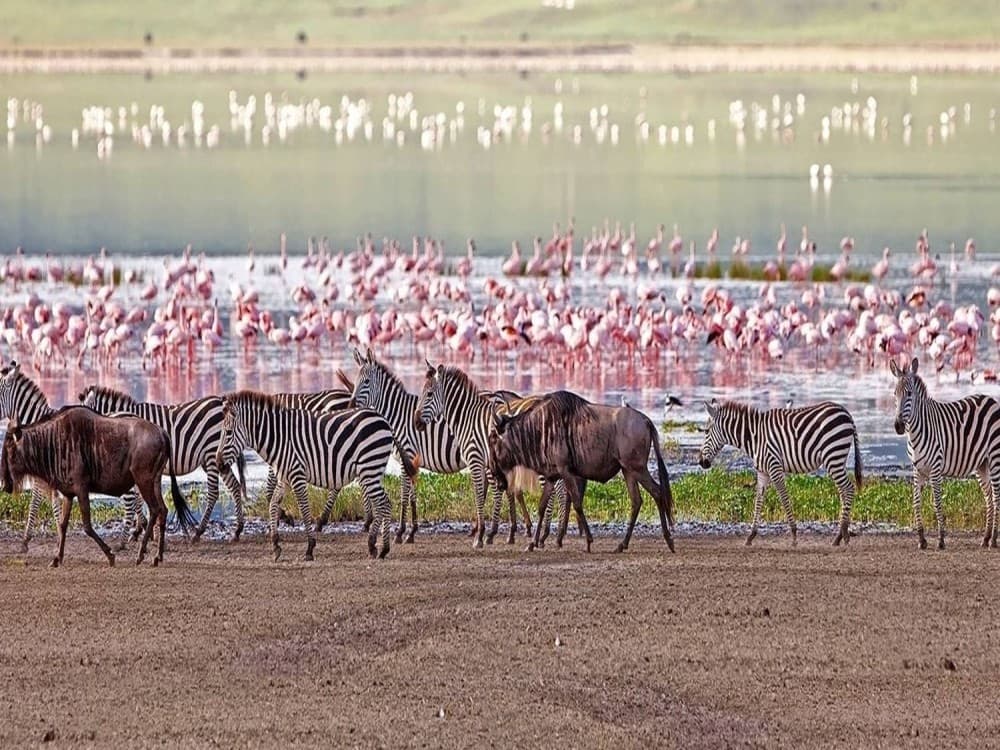 Lake Manyara National Park