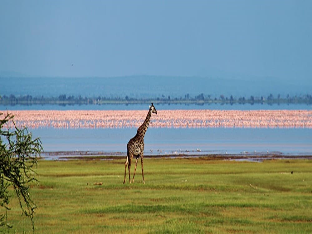 Lake Manyara National Park