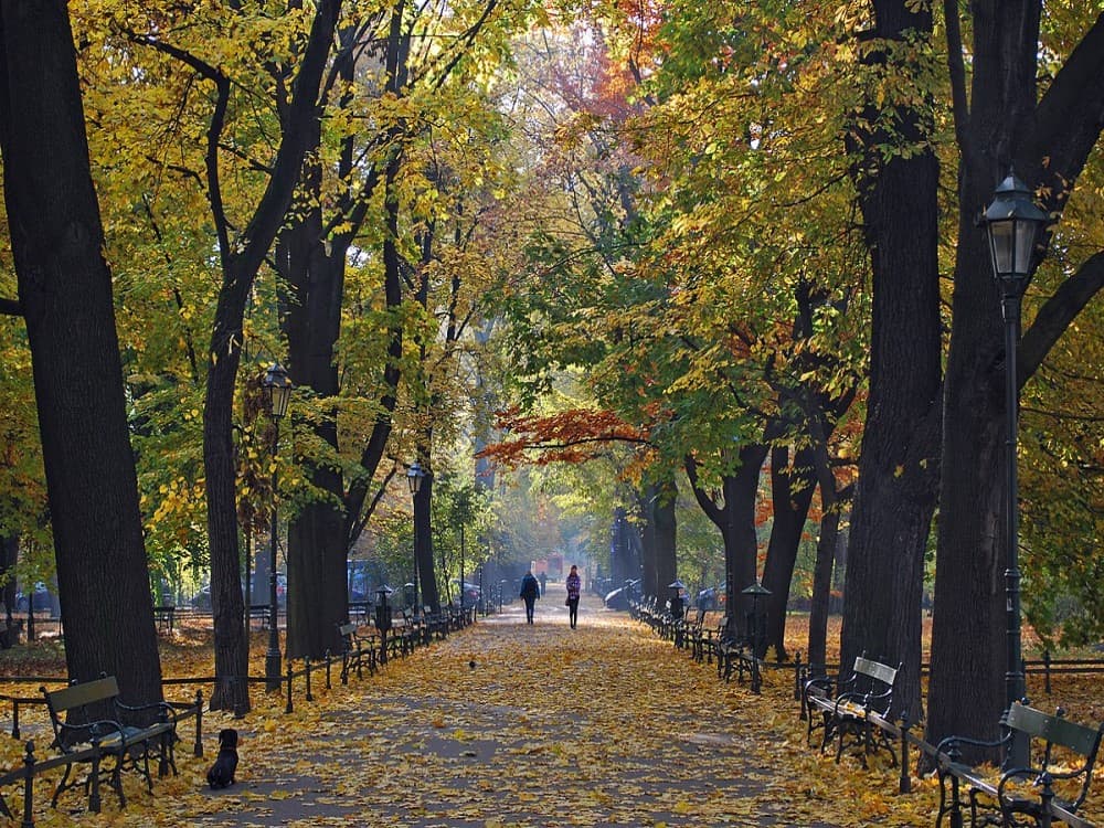 Krakow: Planty Park | ®ExcursionMania