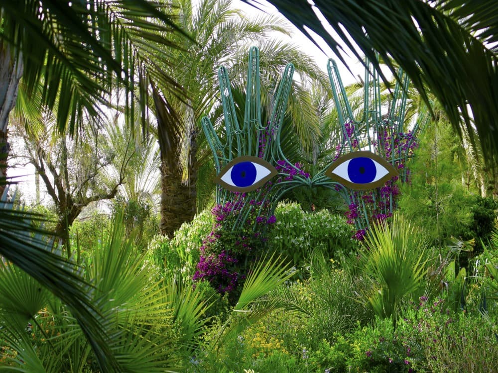 ANIMA Garden
