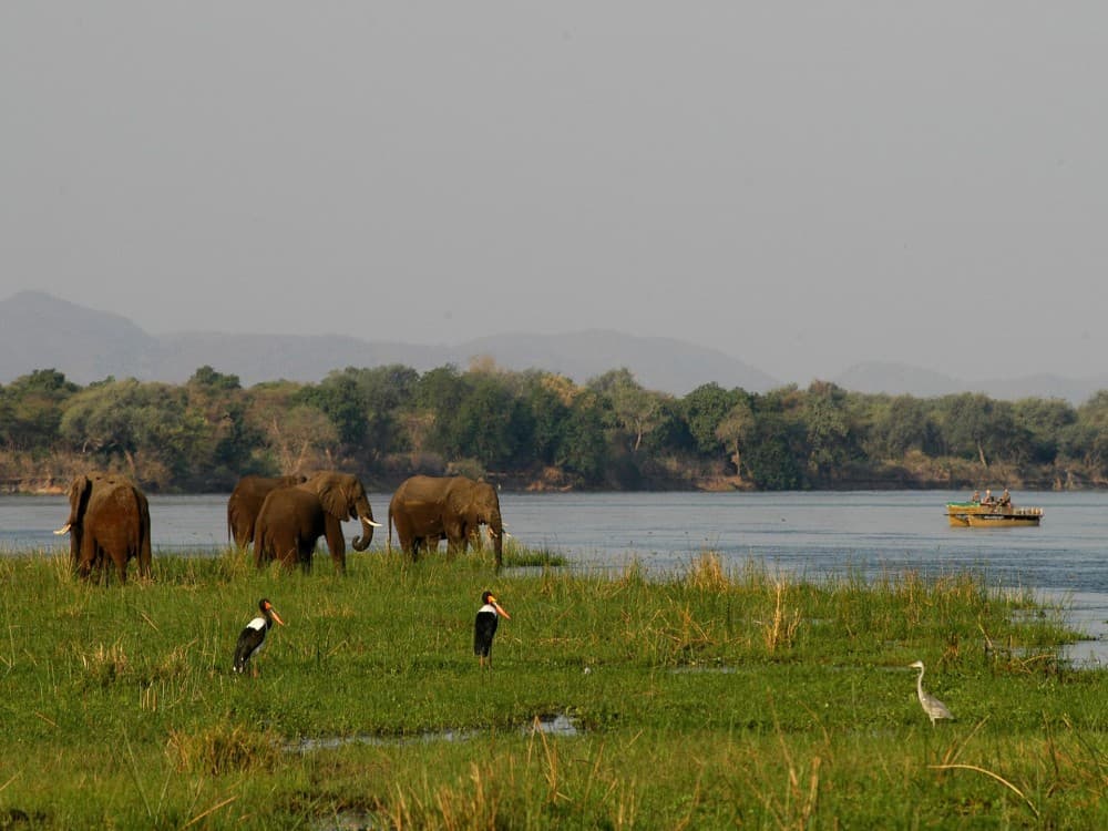 Lower Zambezi National Park