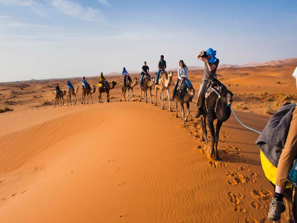Beyond the Medina: Day Trips from Marrakech