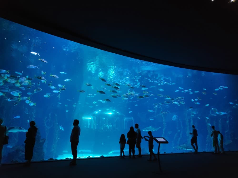 Poema del Mar Aquarium