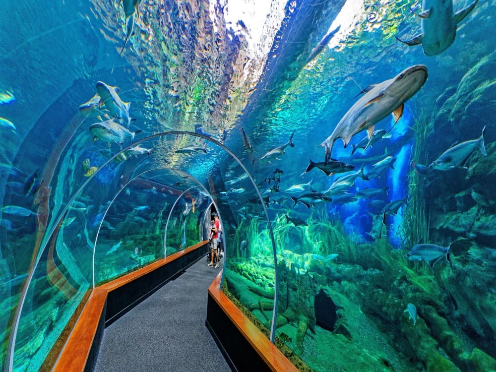 Poema del Mar Aquarium