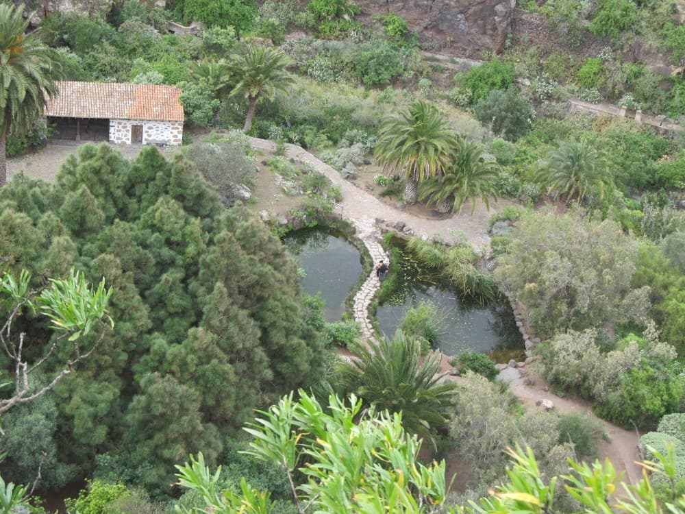 Jardín Botánico Canario Viera y Clavijo