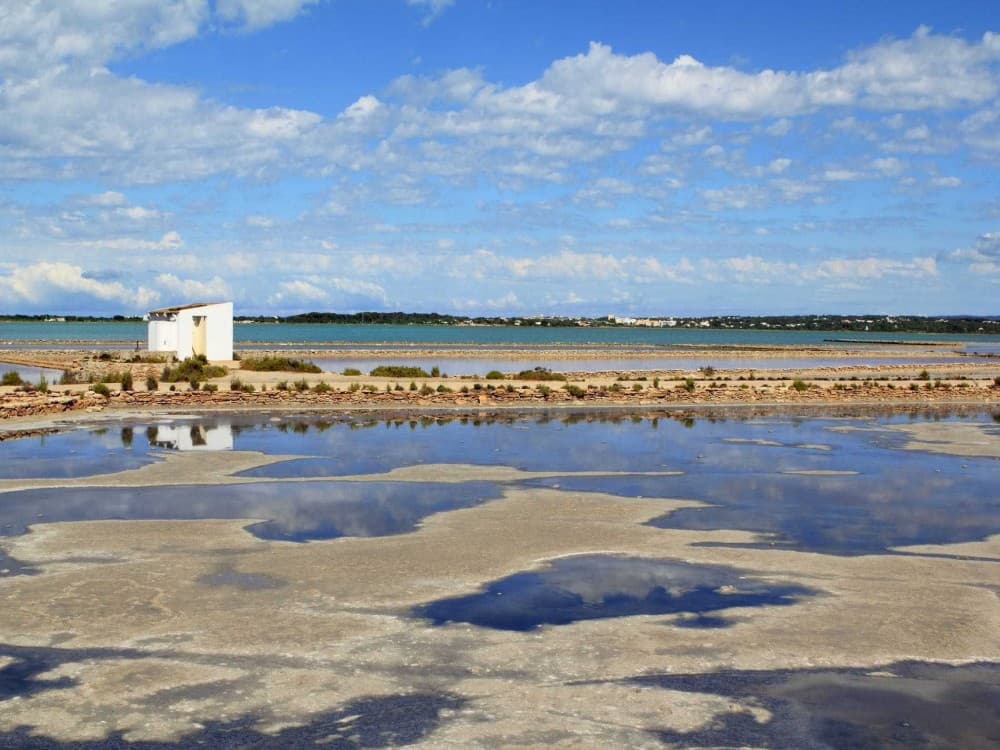 Ses Selines Natural Park