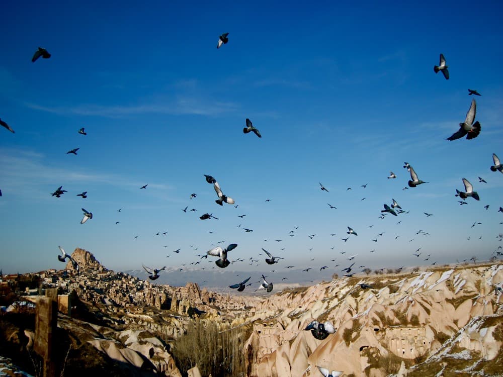 Pigeon Valley