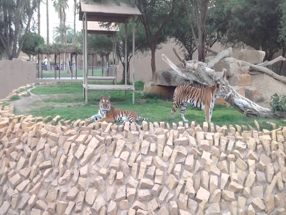 Riyadh Zoo