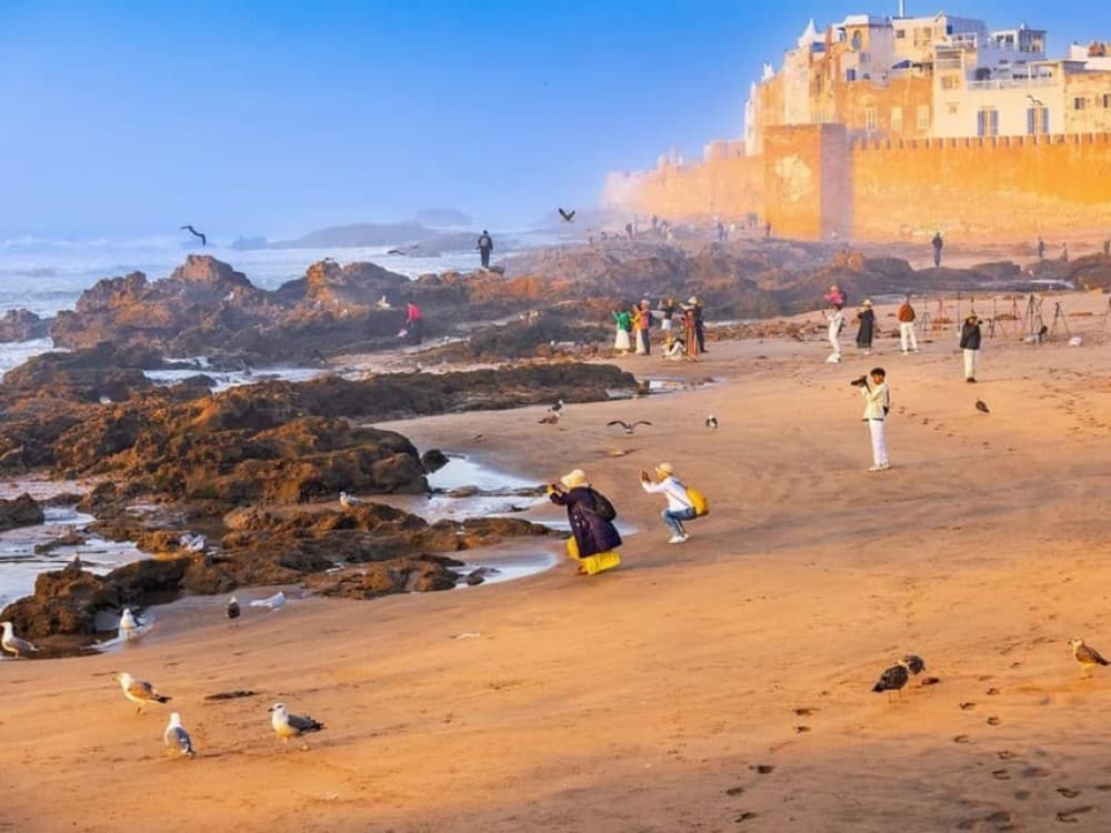 Essaouira Full-Day Excursion from Marrakech