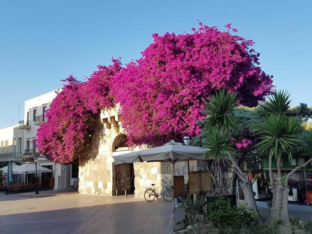 Bodrum Kos Day Trip