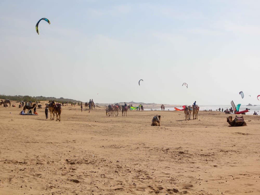 Essaouira Beach