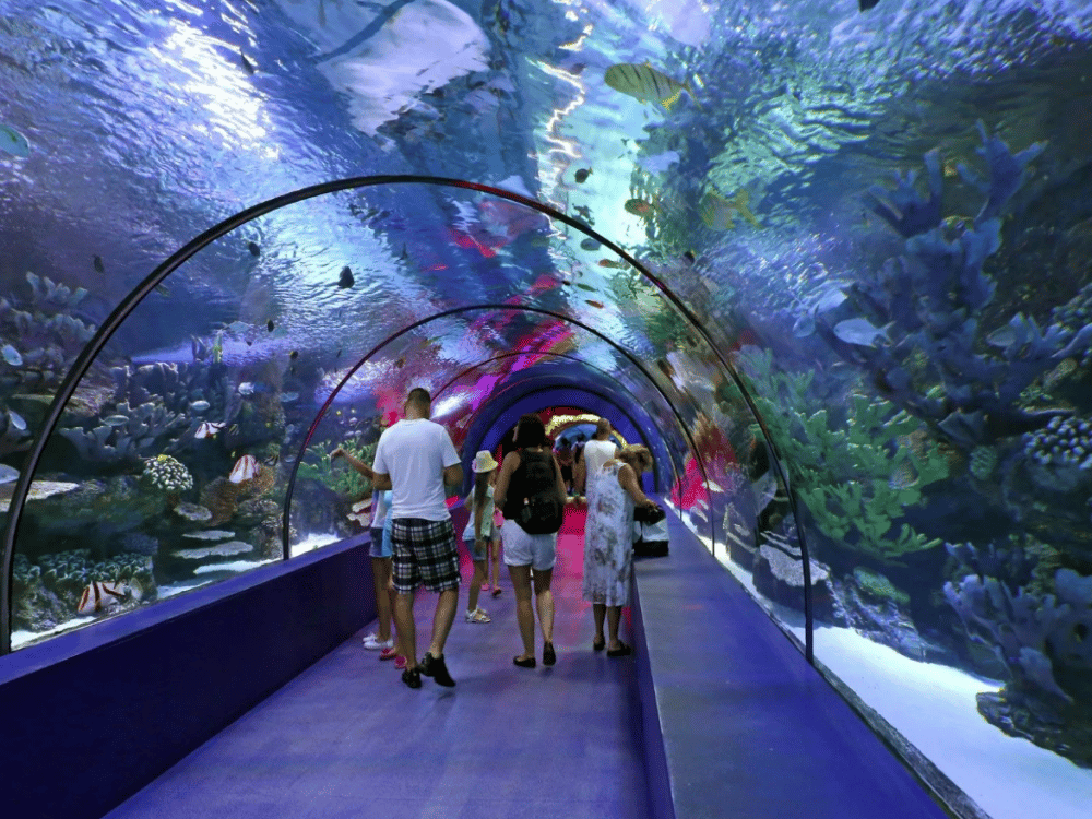 Fakieh Aquarium