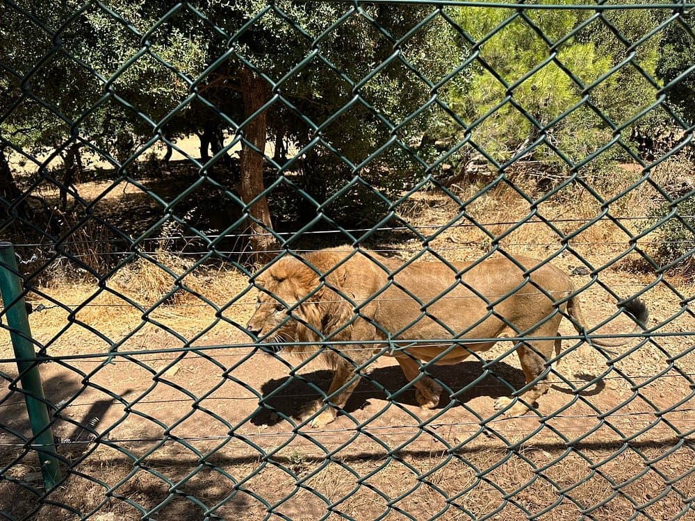 Al Ma'wa for Nature and Wildlife