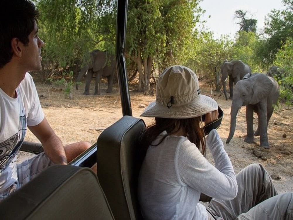 Kalahari Tours