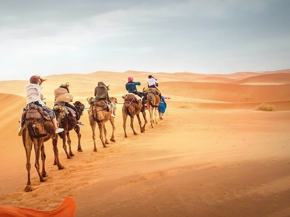 Mouhou Tours