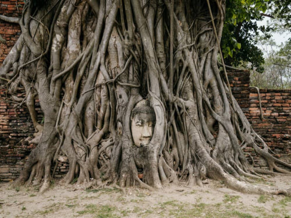 Wat Mahathat