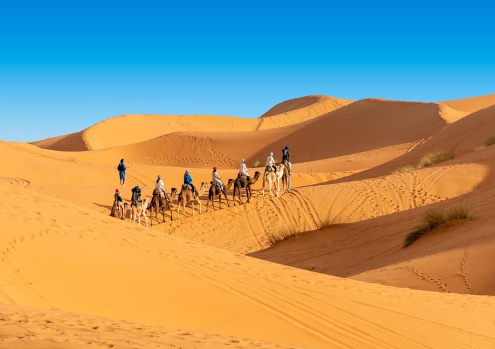 Top Erg Chebbi Safaris