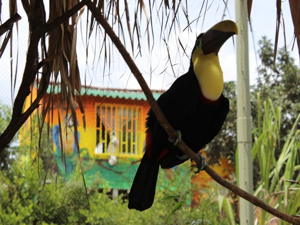 Parque Regional Natural Ucumari