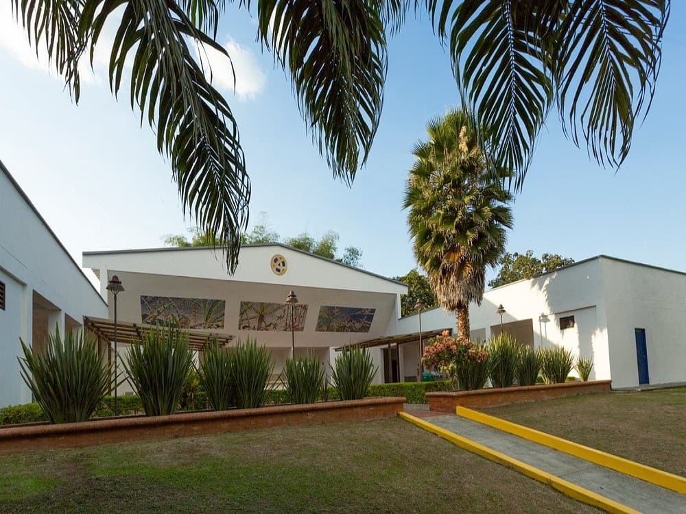 Parque Consota