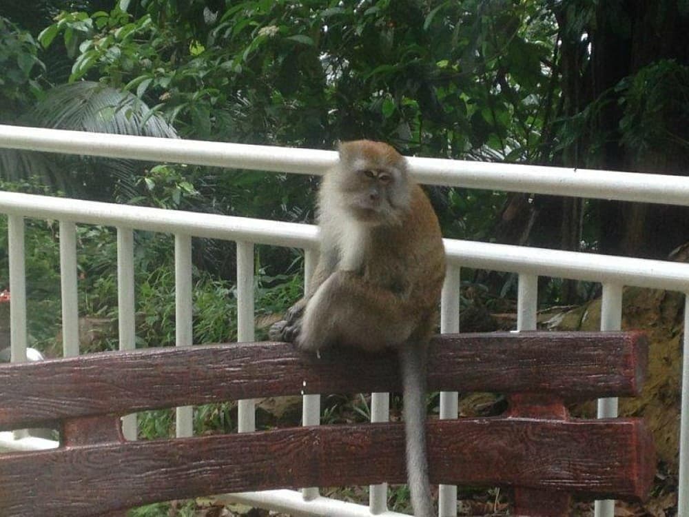 Penang Hill