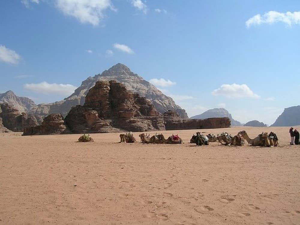 Wadi Rum Protected Area