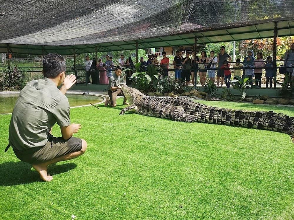 Crocodile Adventureland Langkawi