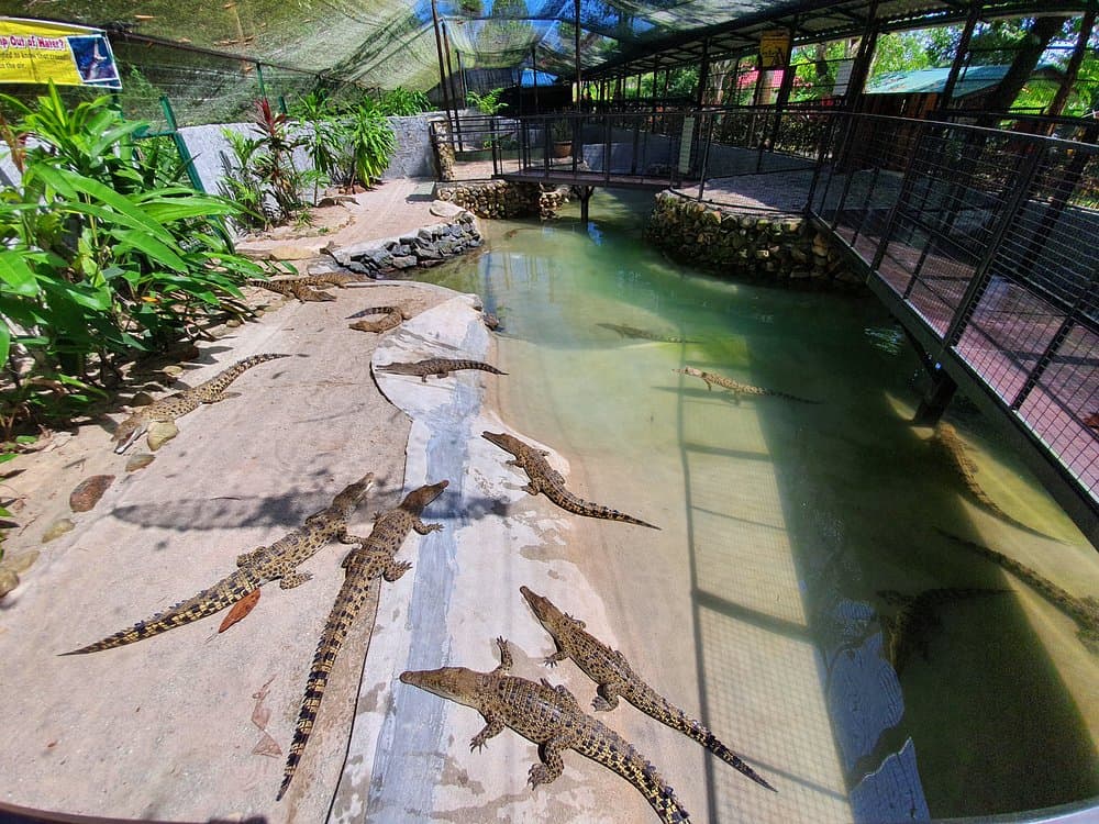 Crocodile Adventureland Langkawi