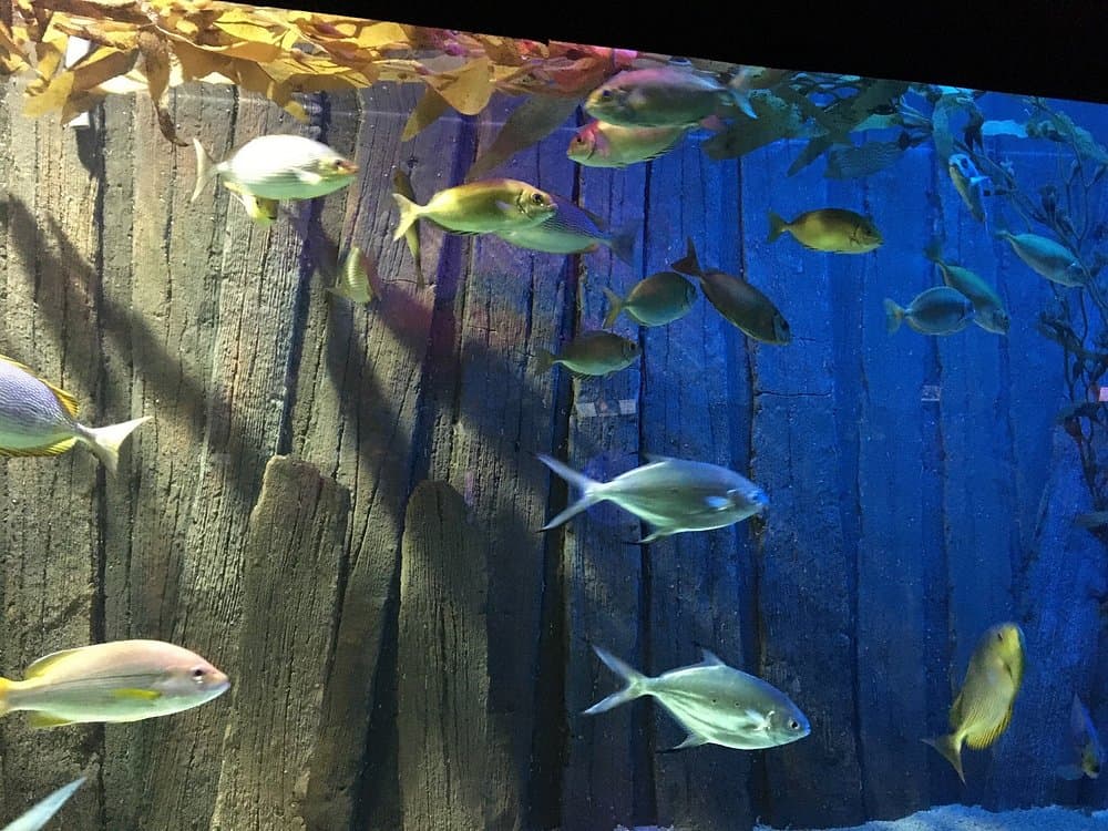 Underwater World Langkawi