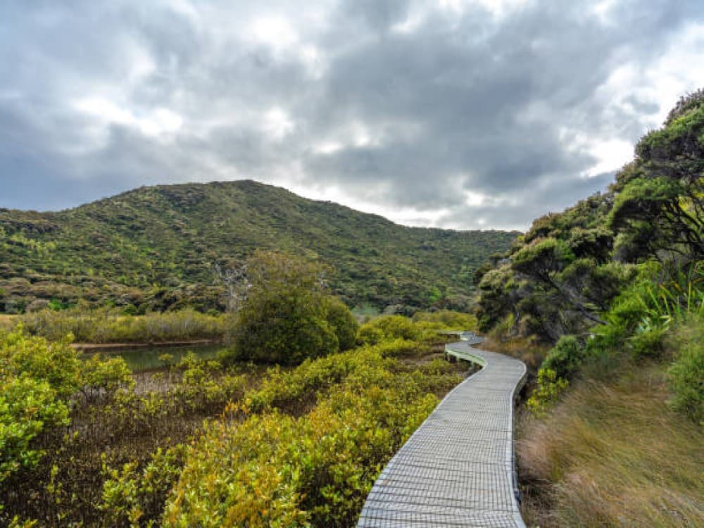 Terrace Walk