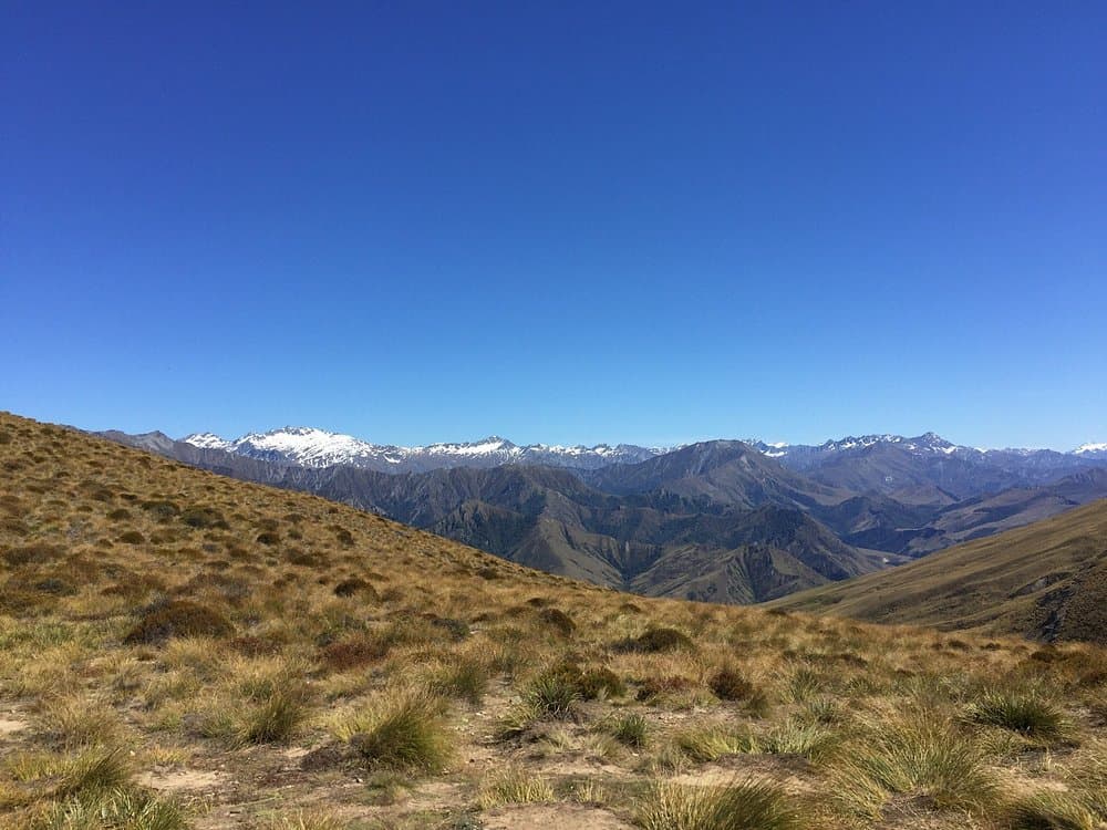 Ben Lomond Track