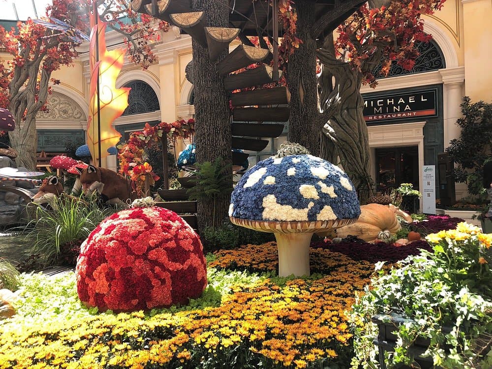 Bellagio Conservatory & Botanical Garden