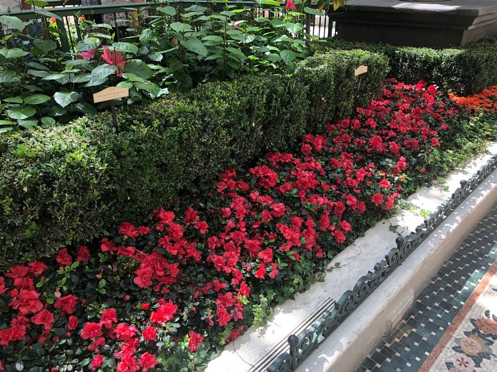 Bellagio Conservatory & Botanical Garden