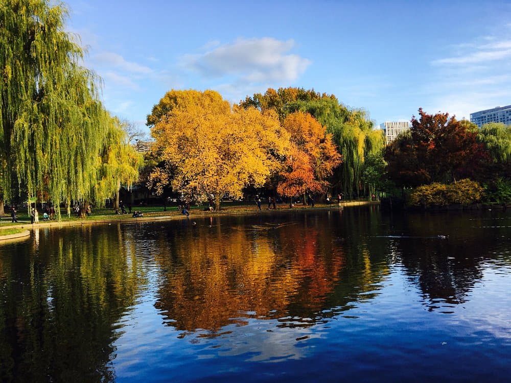 Boston Public Garden