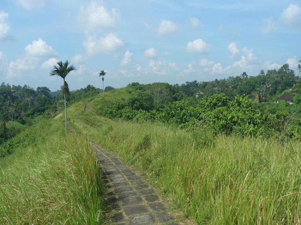 Campuhan Ridge Walk